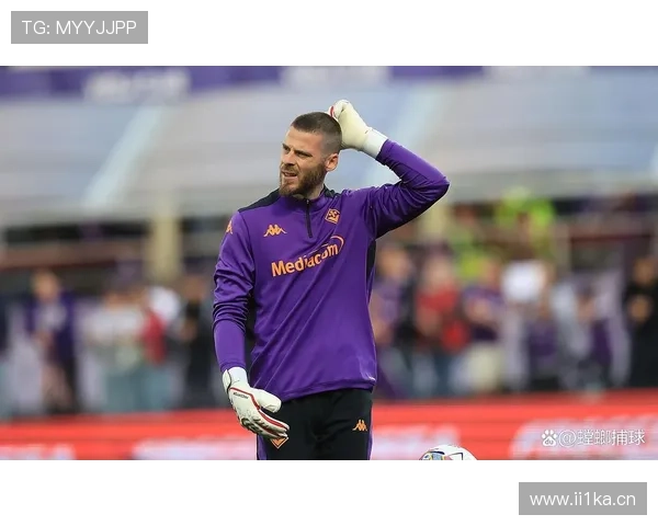 佛罗伦萨对萨索洛 德赫亚多多首发